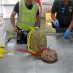 06-08-14-coquinas-con-toxina1-351×185