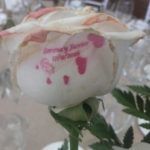 rosa tatuada