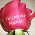 rosa-tatuada-7