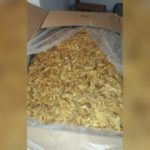 2019-07-31_op_picaderia_01
