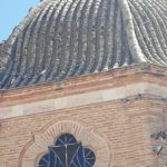 Estudio población Palomas 1
