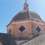 Estudio población palomas 2