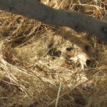 FOTOGRAFIA 2
