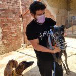 Galgos decomisados 3_opt (2)