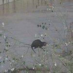 IMG-20180318-WA0037