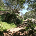 Sendero-del-Guadalora17