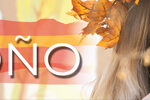 banner n4