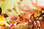 banner ne