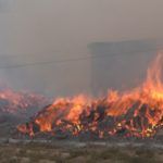incendio nave algodon 2
