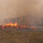 incendio nave algodon 3
