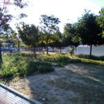 poda limpieza solares WhatsApp Image 2020-05-15 at 17.26.17