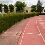 polideportivo WhatsApp Image 2020-05-15 at 10.08.09(3)