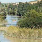 rio genil