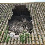 tejado iglesia merced daños